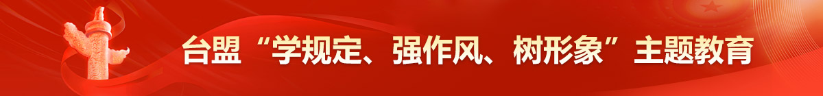 台盟“学规定、强作风、树形象”主题教育
